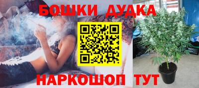 apvp Лесосибирск